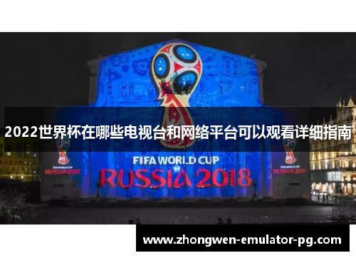 2022世界杯在哪些电视台和网络平台可以观看详细指南
