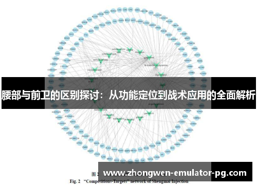 腰部与前卫的区别探讨：从功能定位到战术应用的全面解析