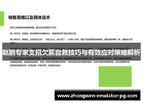 赵鹏专家支招欠薪自救技巧与有效应对策略解析