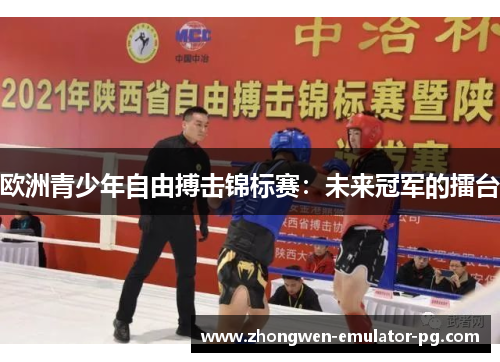 欧洲青少年自由搏击锦标赛：未来冠军的擂台