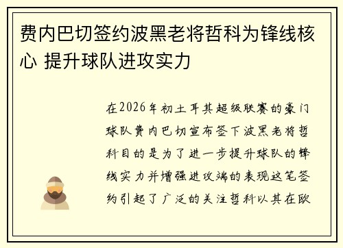 费内巴切签约波黑老将哲科为锋线核心 提升球队进攻实力 费内巴切签约波黑老将哲科为锋线核心 提升球队进攻实力