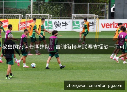 秘鲁国家队长期建队,青训衔接与联赛支撑缺一不可 秘鲁国家队长期建队,青训衔接与联赛支撑缺一不可